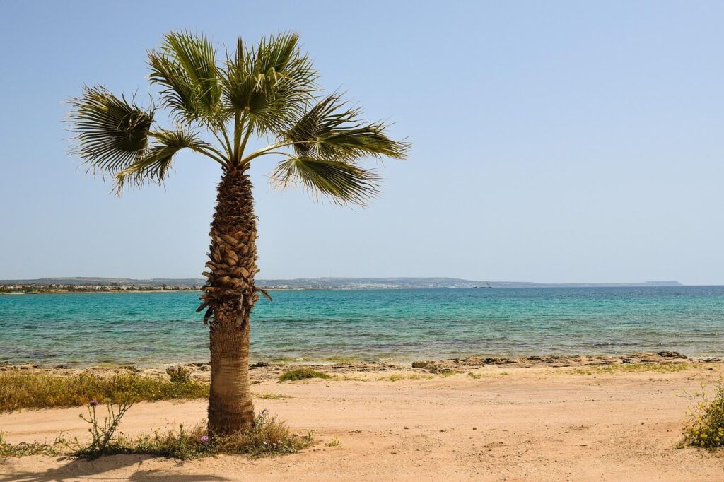 Strand von Potamos Liopetri mit Palme und Meer